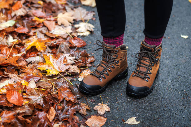 istock Hiking boot on road with autumn leaves 1436763497