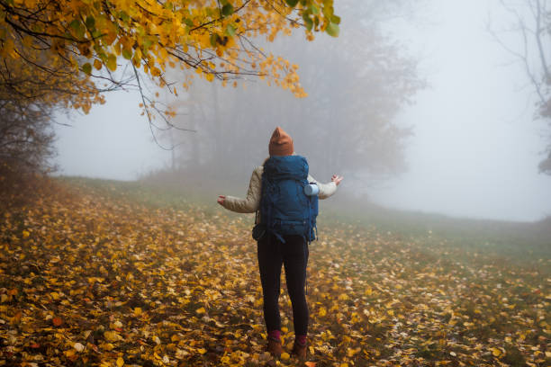 istock Confused hiker got lost in misty woodland 1436763720