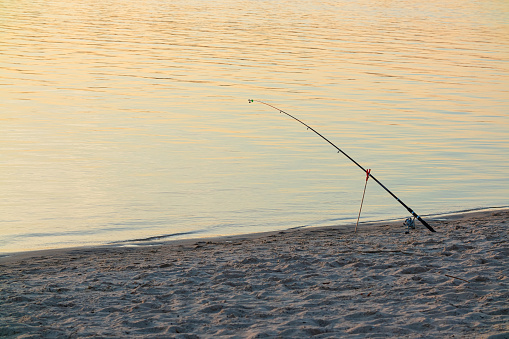 Fishing rod set on the sandy shore of a river or lake. Sunny day