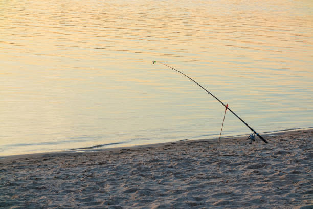 Fishing rod set on the sandy shore of a river or lake stock photo