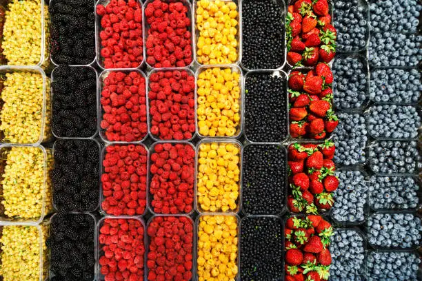 Colourful mix of different fresh berries at market. Raspberries, strawberries, blueberries, blackberries, whitecurrants and bilberries flatlay.