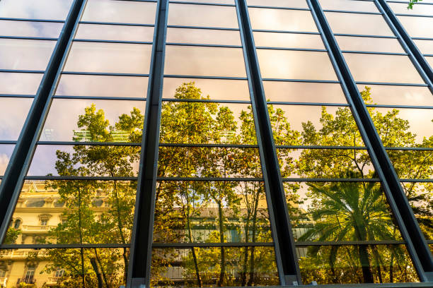 istock Trees reflected in the glass of a skyscraper in Barcelona 1436766807