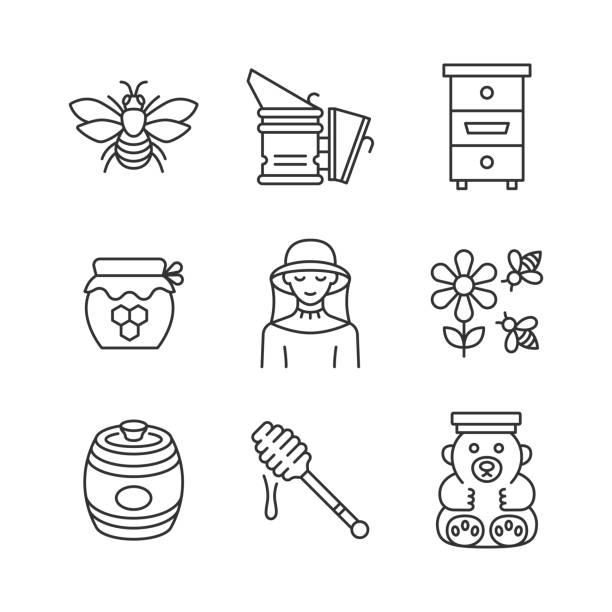 Beekeeping line icon set. Collection symbol with bee, hive, honey, beekeeper,equipment, apiary. Beekeeping line icon set. Collection symbol with bee, hive, honey, beekeeper,equipment, apiary. Editable stroke. drop bear stock illustrations