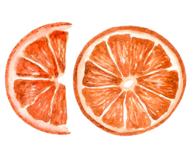 istock Round Slices of Dried Orange Isolated on White Background 1436768423