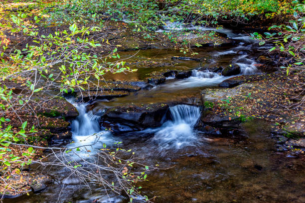 Roaring creek stock photo