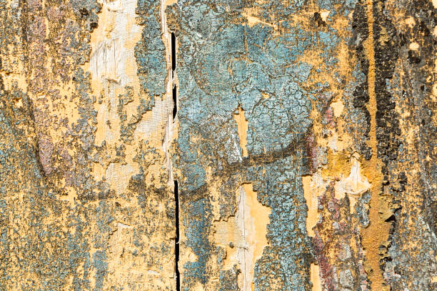 istock A fragment of a hardwood. 1436773466