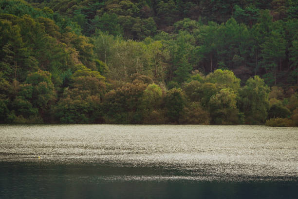 istock reflection of lake 1436777647