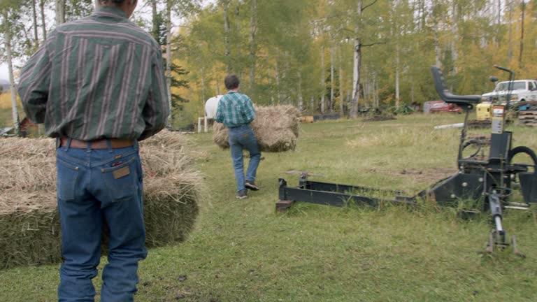 Teenage Rancher Brothers Working Together Carrying Bales of Hay to Feed his Herd of Livestock on a Small Town Family-Owned Ranch in Colorado, USA