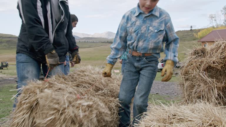 Ranching Mother and Her 9-Year-Old Son Carrying, Lifting, and Stacking a Heavy Bale of Hay on a Small Town Family-Owned Ranch in Colorado, USA