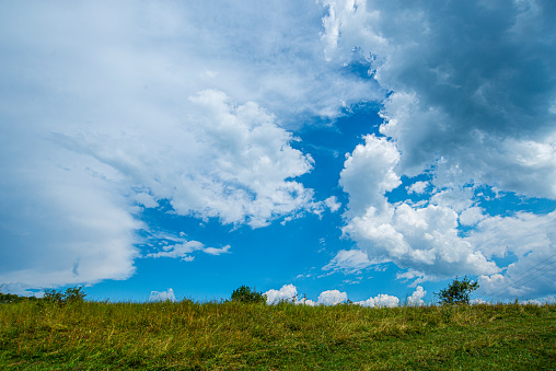 green grass with white clouds on the blue sky in the summer