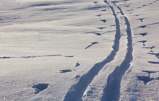 Traces of skiing in the snow, cross-country ski trail, snowy winter background.