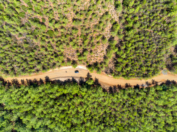 istock cyclist and car on dirt road 1436788690