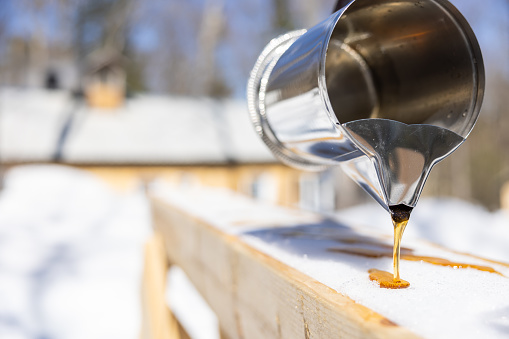 Hot Maple sugar on snow at a sugar shack. A jar full of maple sugar is pouring the golden liquid on freshly compacted snow.