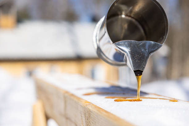 Maple sugar taffy on snow at sugar shack