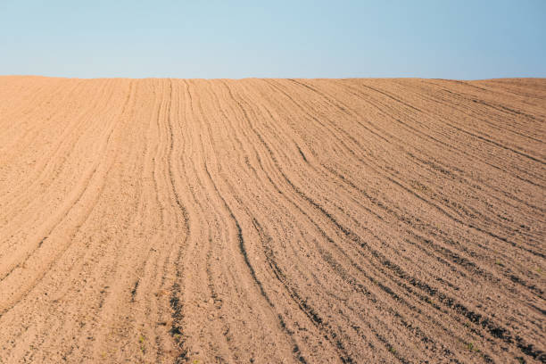 istock Plowed field after ploughing, on the background is a blue sky 1436791013