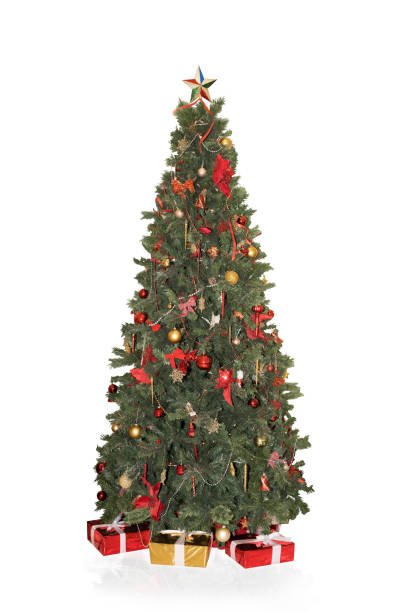 istock decorated christmas tree isolated on white background 1436792435