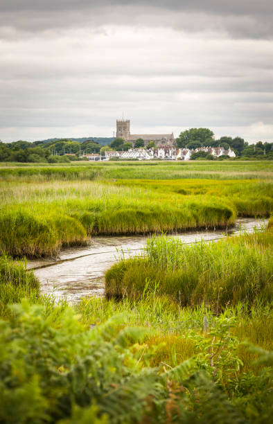 Hengistbury Head nature reserve wetlands, Christchurch Dorset UK Hengistbury Head nature reserve wetlands with Christchurch Harbour and Priory in the background. Dorset, UK christchurch england photos stock pictures, royalty-free photos & images