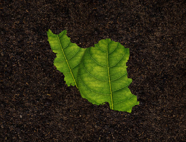 istock Iran map made of green leaves on soil background ecology concept 1436794548