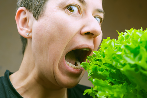 Brunette woman with short hair opened her mouth wide to take a bite of a lush organic lettuce salad. A woman on a diet eats a lettuce salad. Comic image of a healthy diet.