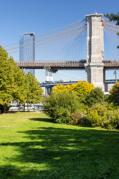 istock Brooklyn and Manhattan bridges 1436800274