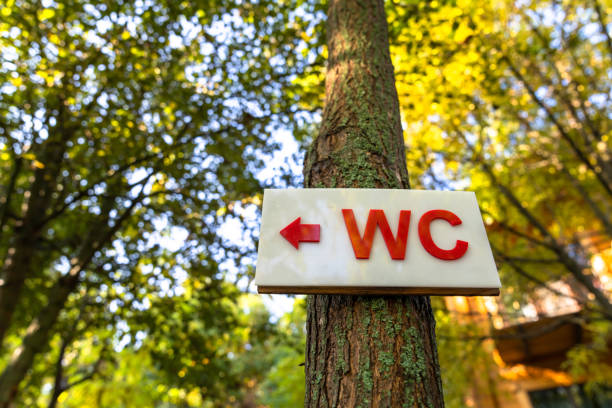 istock WC sign on wood 1436801102
