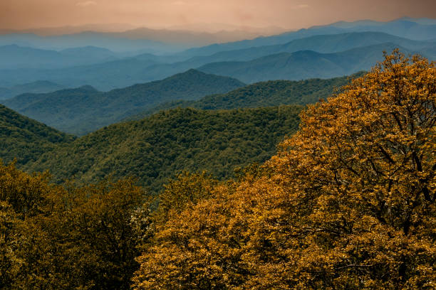 istock Scenic View from Lickstone Ridge Overlook, North Carolina 1436801768