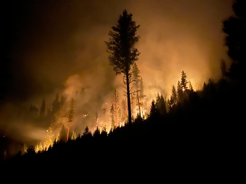 Incendio de Indian Ridge photo
