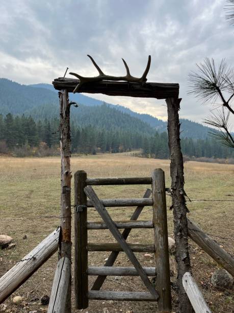 A favorite sight along the Selway