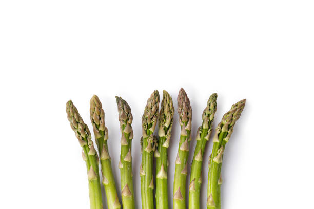 istock Fresh green asparagus isolated on white background as package design element. Heap, set, group of asparagus. Top view, copy space, space for text. 1436809075