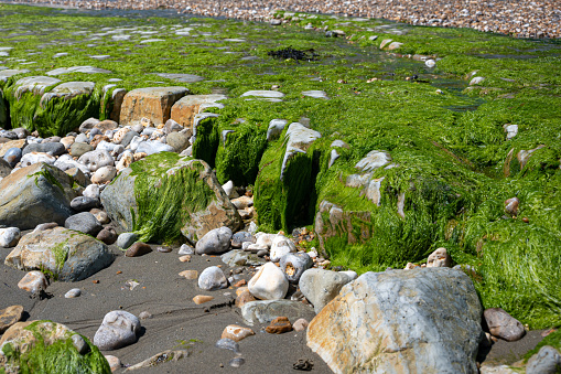 Rocks on the beach at Sandbanks in Poole