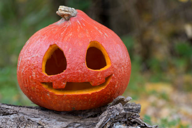 istock Halloween Jack O' Lantern pumpkin on autumn colorful background 1436813732