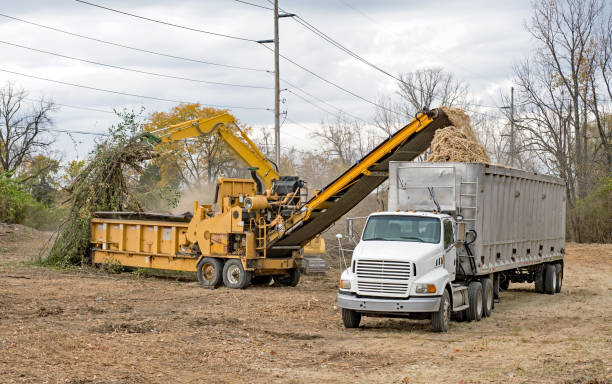 Horizontal Grinder Mulching Felled Trees During Deforestation stock photo