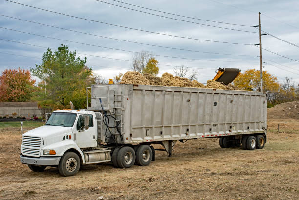 istock Large Transportation Truck Loaded with Mulched Trees 1436815615