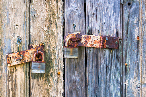 A pair of rusty padlocks secure the weathered doors of a rustic cranberry barn on Cape Cod.