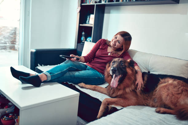 istock Female Embracing Her German Shepherd While Changing Television Channel 1436825069