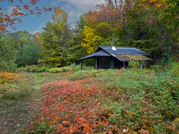 Primitive cabin at Lake Katahdin, Maine, in early fall surrounded by brilliant fall foliage Primitive cabin at Lake Katahdin, Maine, in early fall surrounded by brilliant fall foliage mt katahdin stock pictures, royalty-free photos & images