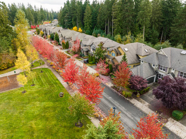 istock Suburban Homes in Fall 1436829618