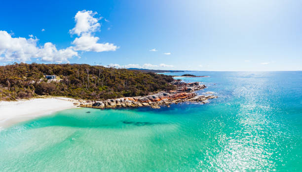 istock Binalong Bay Beach in Tasmania Australia 1436832522