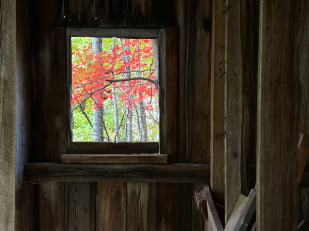 istock Autumn Woods near a barn window 1436834179