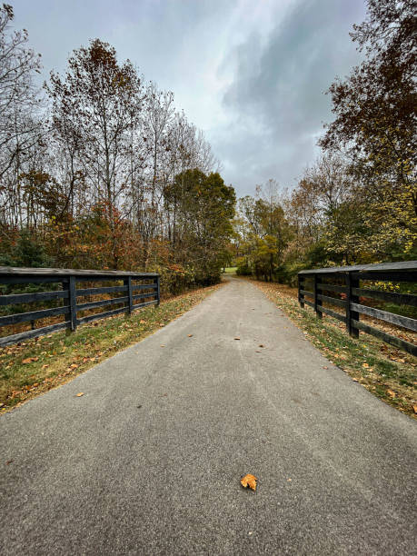 istock Treelined footpath in Veteran's park, Lexington KY 1436834275