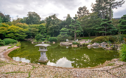 Awe оapanese garden in the Nordpark in Düsseldorf with a pond and trimmed pine trees - sunset in Düsseldorf. A lantern and a pond bank with even small stones (like in the Royal Gardens of Japan) and koi carps in the water!