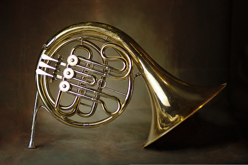 french horn an ancient musical metal instrument popular in classical brass music an instrument beloved by children and adults, amateurs and professionals. High quality photo