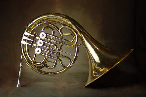 french horn an ancient musical metal instrument popular in classical brass music an instrument beloved by children and adults, amateurs and professionals french horn an ancient musical metal instrument popular in classical brass music an instrument beloved by children and adults, amateurs and professionals. High quality photo brass instrument stock pictures, royalty-free photos & images