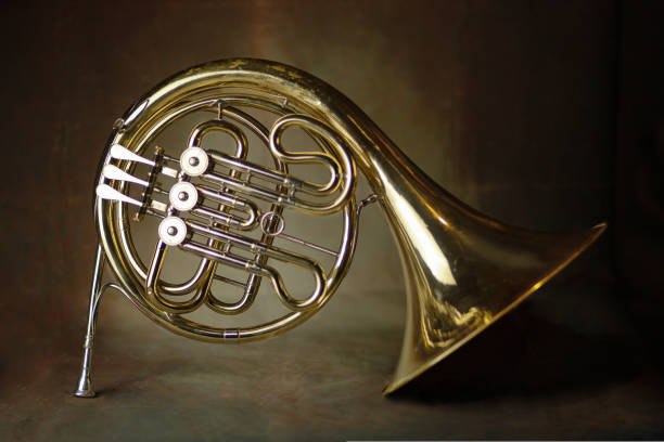 french horn an ancient musical metal instrument popular in classical brass music an instrument beloved by children and adults, amateurs and professionals - brass section imagens e fotografias de stock