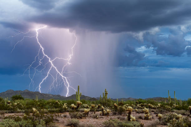Lightning in the desert Lightning bolt strike from a monsoon thunderstorm in the Arizona desert. monsoon stock pictures, royalty-free photos & images