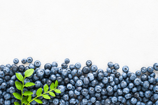 Fresh blueberries with leaves on white concrete background with copy space for text. Summer concept. Flat lay