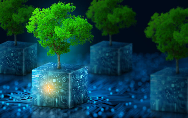 Green Computing, Green Technology, Green IT, csr, and IT ethics Concept. Tree growing on Circuit digital cube. Digital and Technology Convergence. Blue light and Wireframe network background. Green Computing, Green Technology, Green IT, csr, and IT ethics Concept. green technology stock pictures, royalty-free photos & images