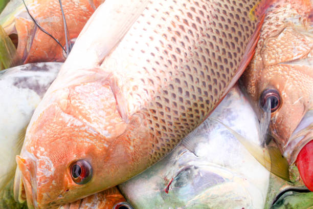 istock Sea fishing in Thailand 1436852973