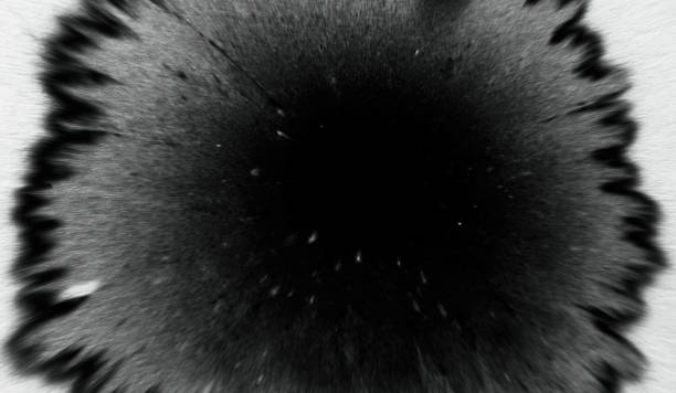 istock black paint drop on white paper splash overlay ink 1436862306