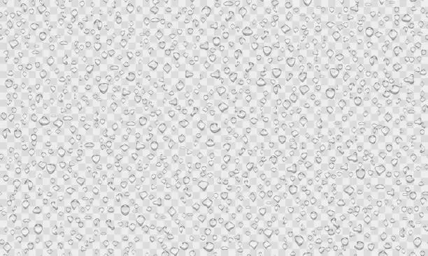 Vector illustration of Realistic water drop transparent pattern on light background